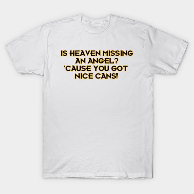 Is Heaven Missing an Angel? 'Cause You Got Nice Cans! T-Shirt by Way of the Road